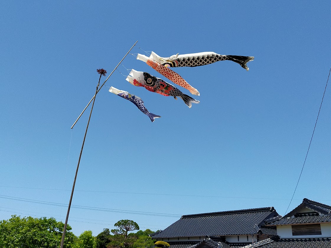 鯉のぼり